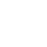 Biometric Security